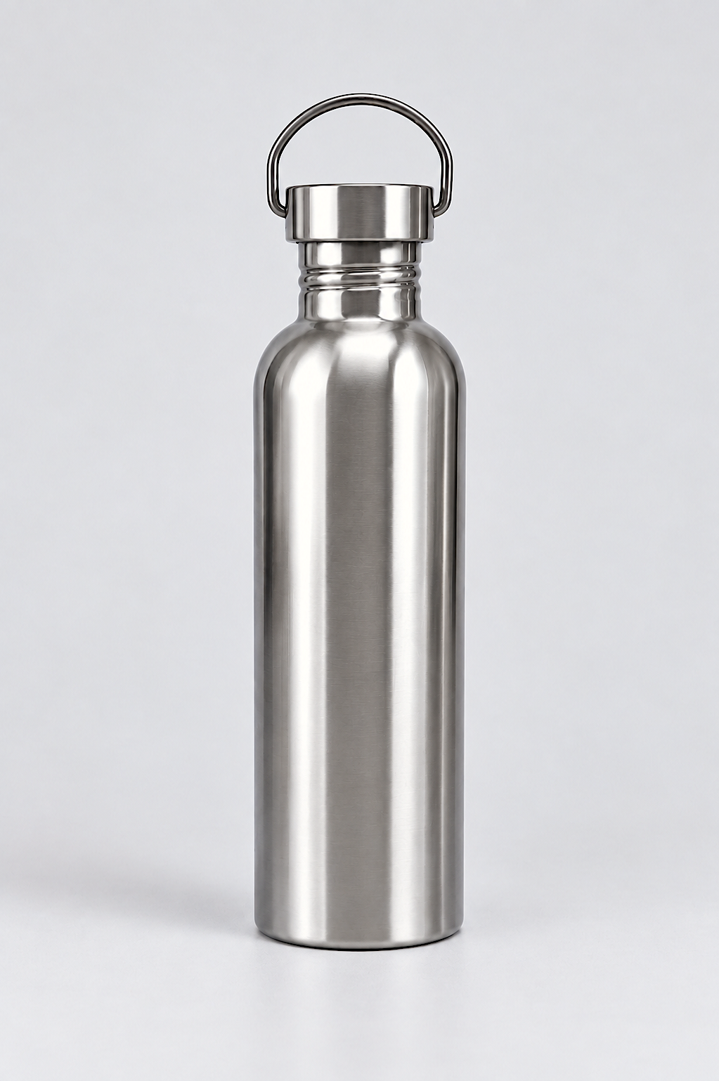 Stainless Steel Bottle