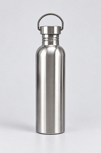 Stainless Steel Bottle