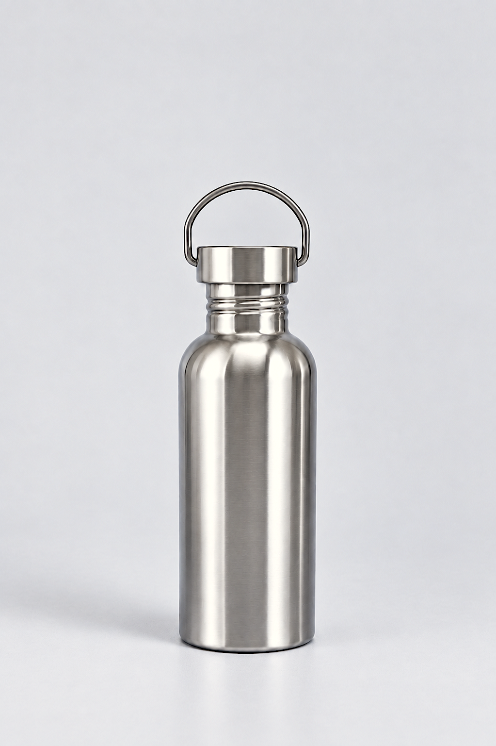 Stainless Steel Bottle