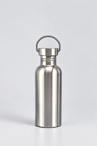 Stainless Steel Bottle