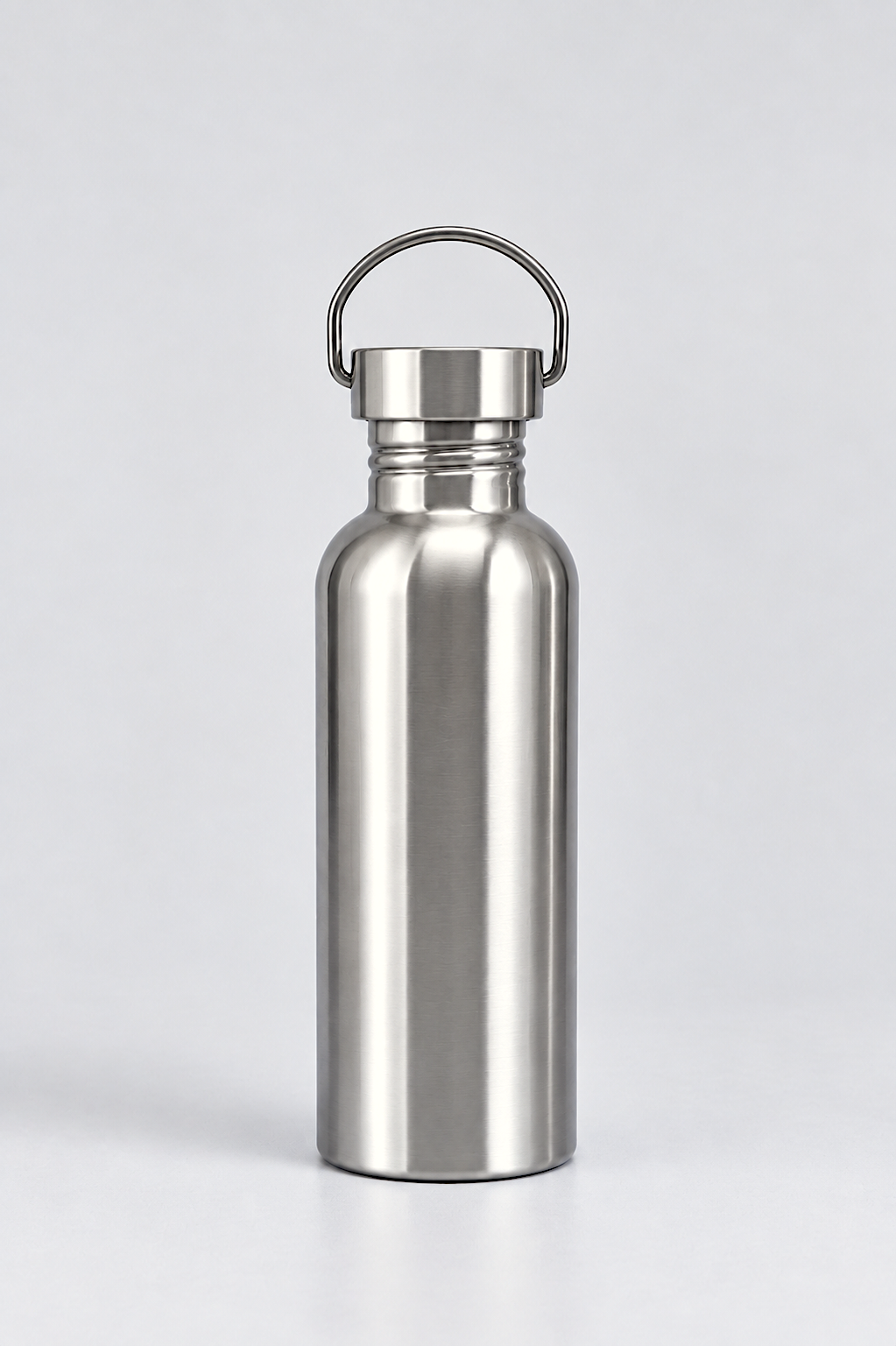 Stainless Steel Bottle