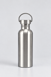 Stainless Steel Bottle